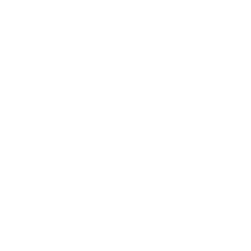 Selbstverständnis und Schutzauftrag